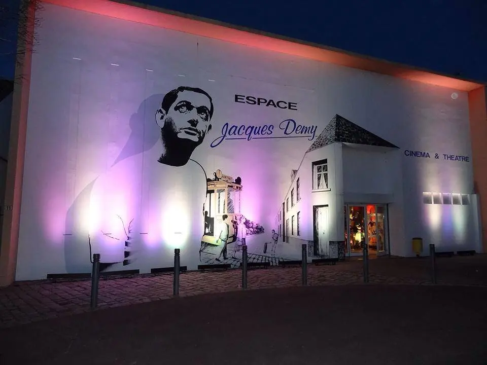 projection debat cinema jacques demy divatte sur loire