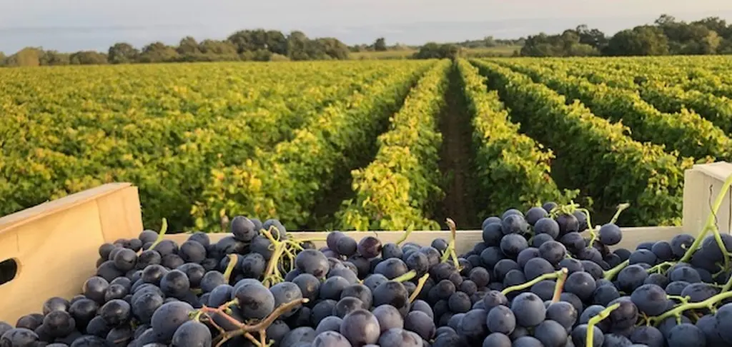 porrte ouvertes bois huaut gorges