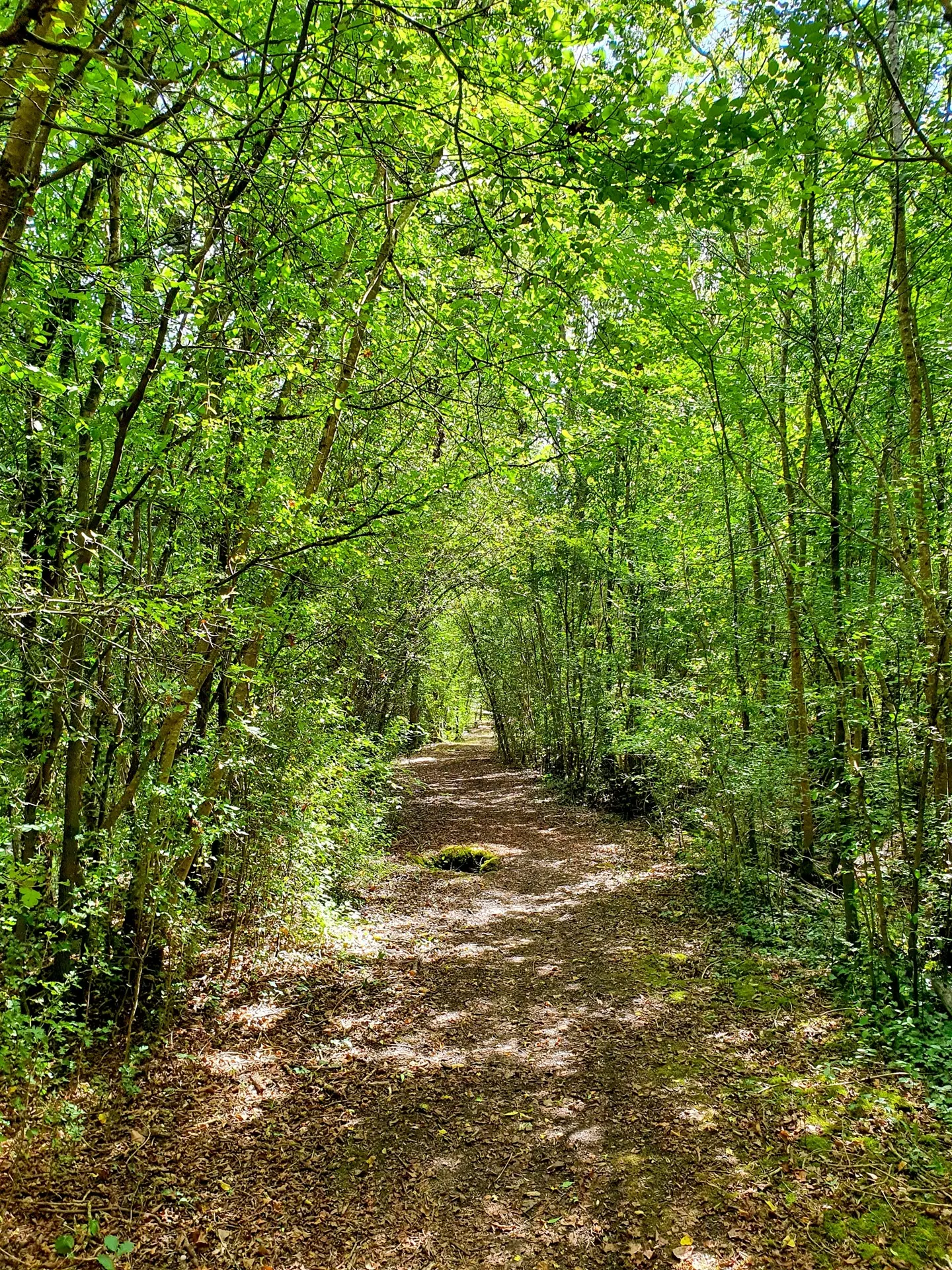 randonnée-la route-d-eau-doix-les-fontaines-7