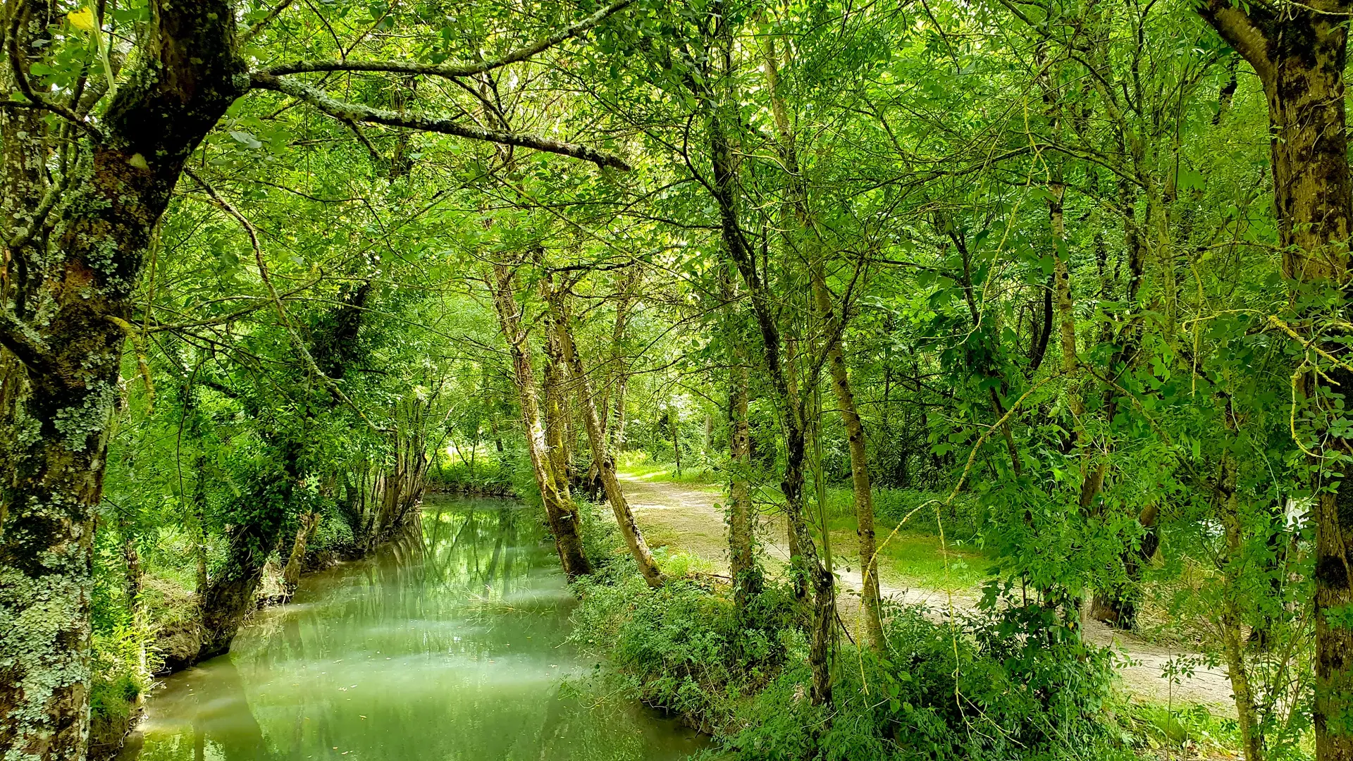 randonnée-la route-d-eau-doix-les-fontaines-2