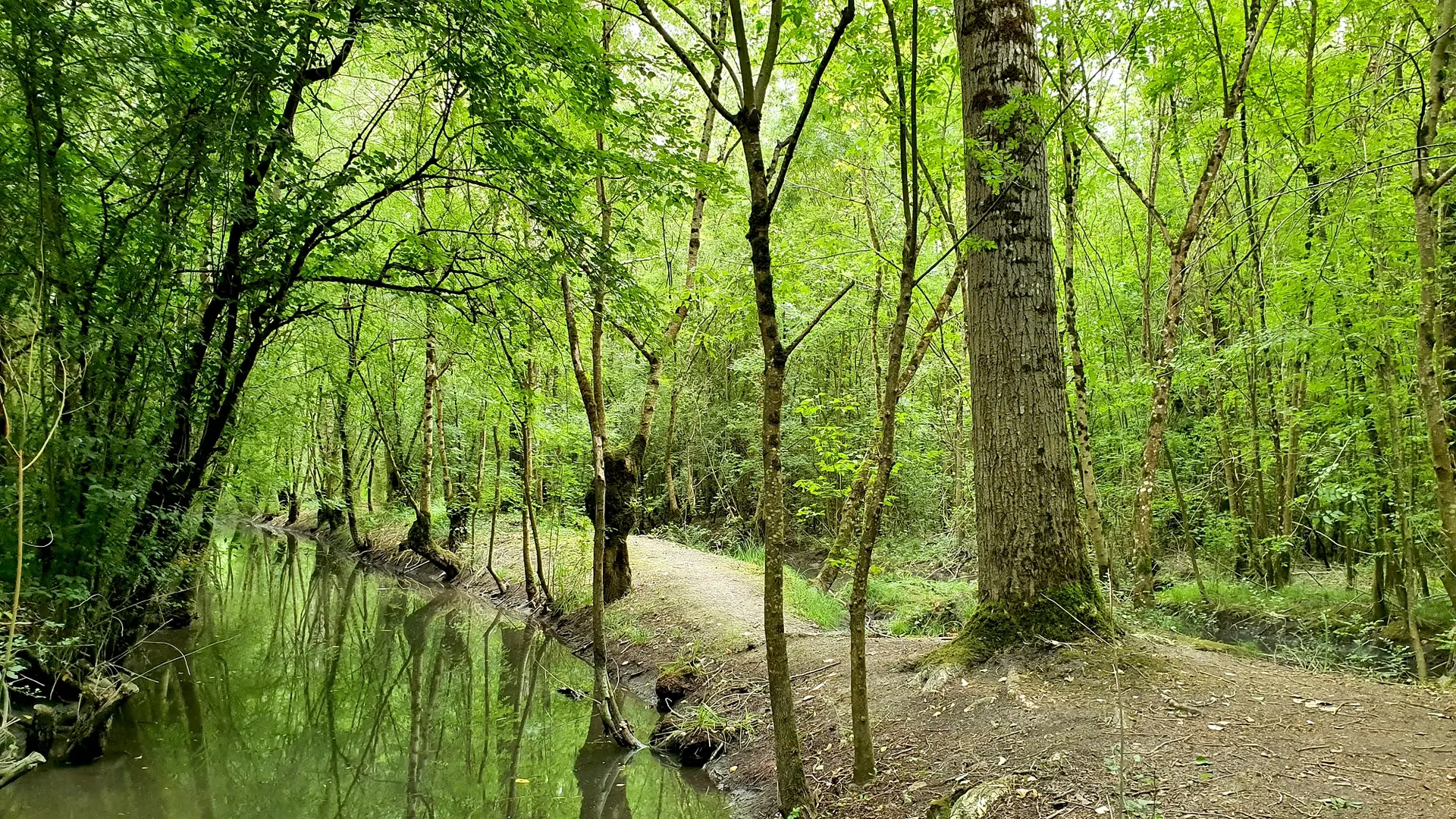 randonnée-la route-d-eau-doix-les-fontaines-5