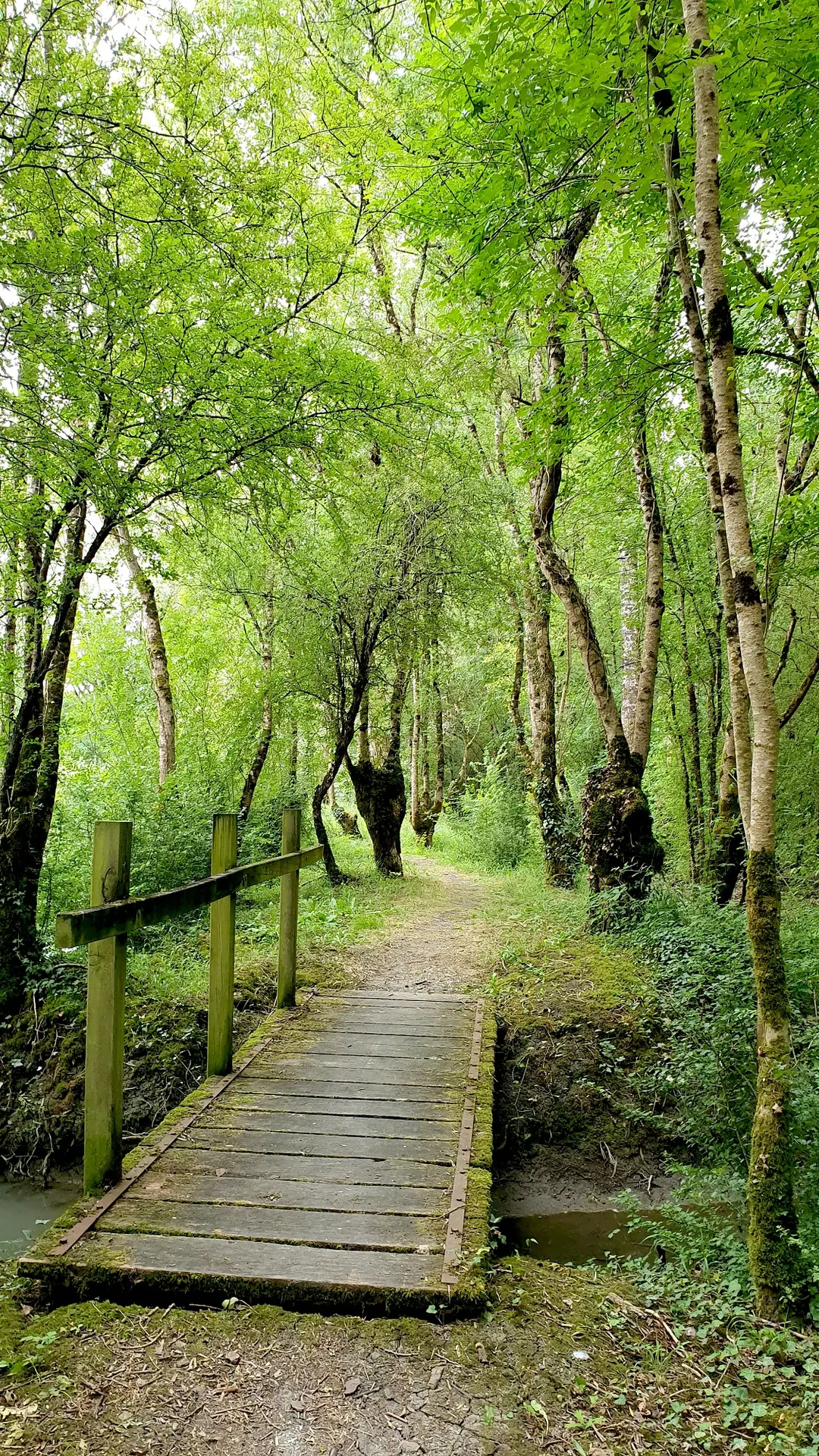 randonnée-la route-d-eau-doix-les-fontaines-4