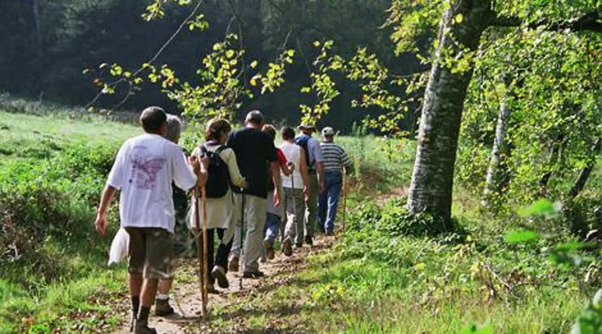 randonnee-pedestre-1-1170x650