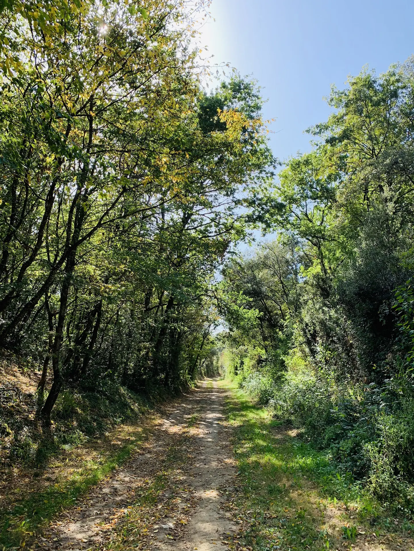 randonnée-pédestre-la-vallée-d-or-l-hermenault-fontenay-vendee-85-1 (4)
