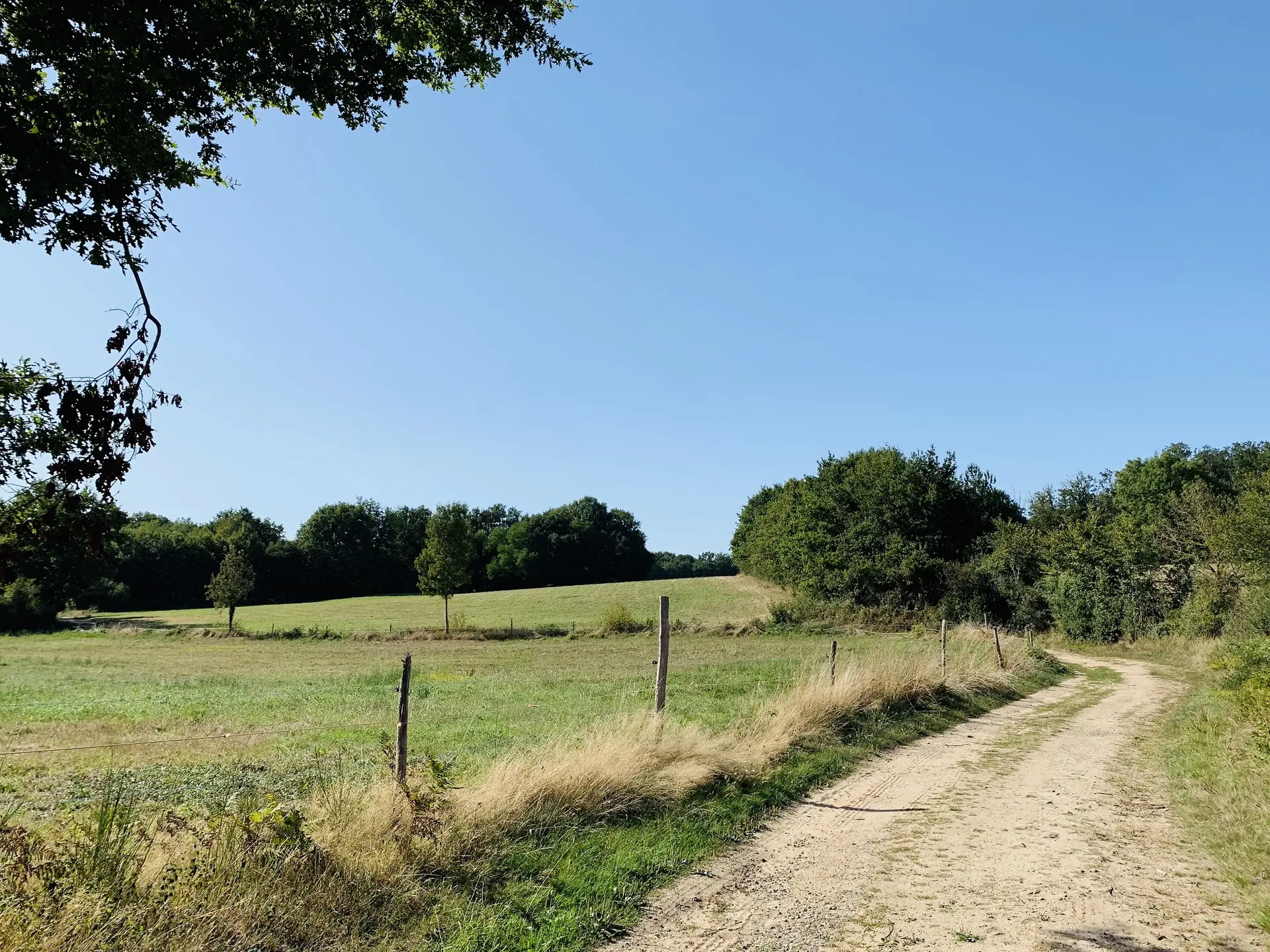 randonnée-pédestre-la-vallée-d-or-l-hermenault-fontenay-vendee-85-1 (5)