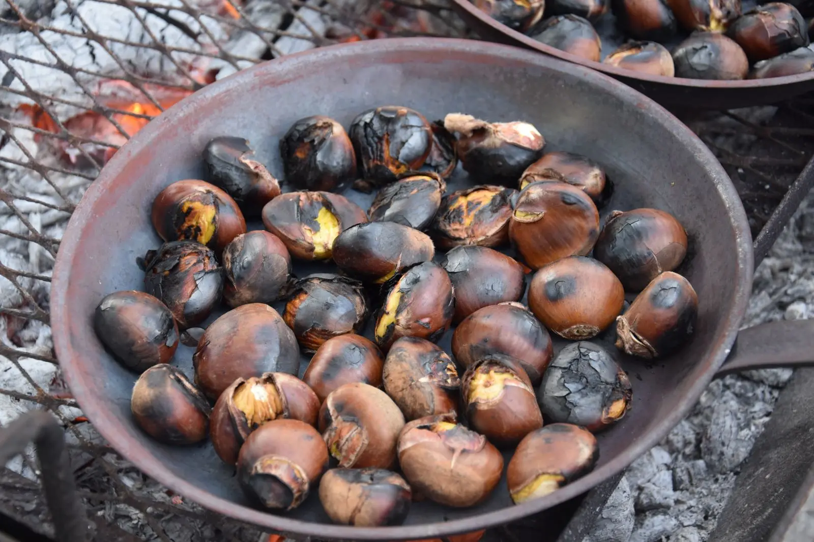 randochataignehautegoulaine1-2024-levignobledenantes-tourisme