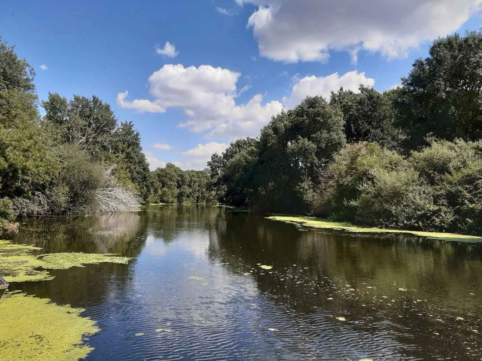 randosevreetsangueze-2024-levignobledenantes-tourisme