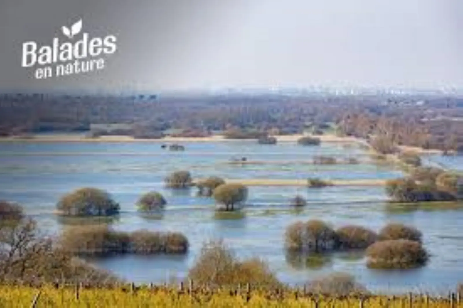 sortienaturelpo-2024-levignobledenantes-tourisme