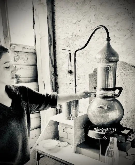 Découverte de la distillation de plantes médicinales