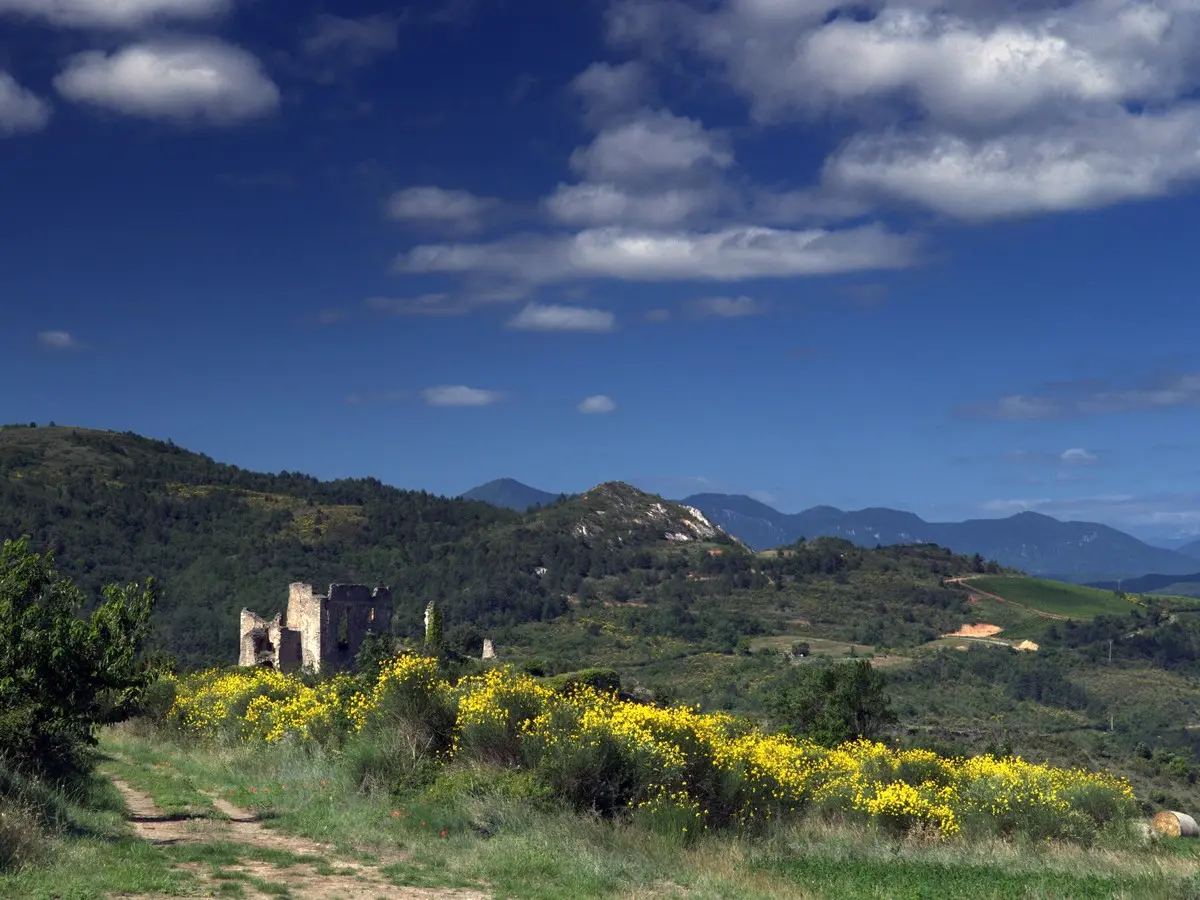 Château paysage_Coustaussa_