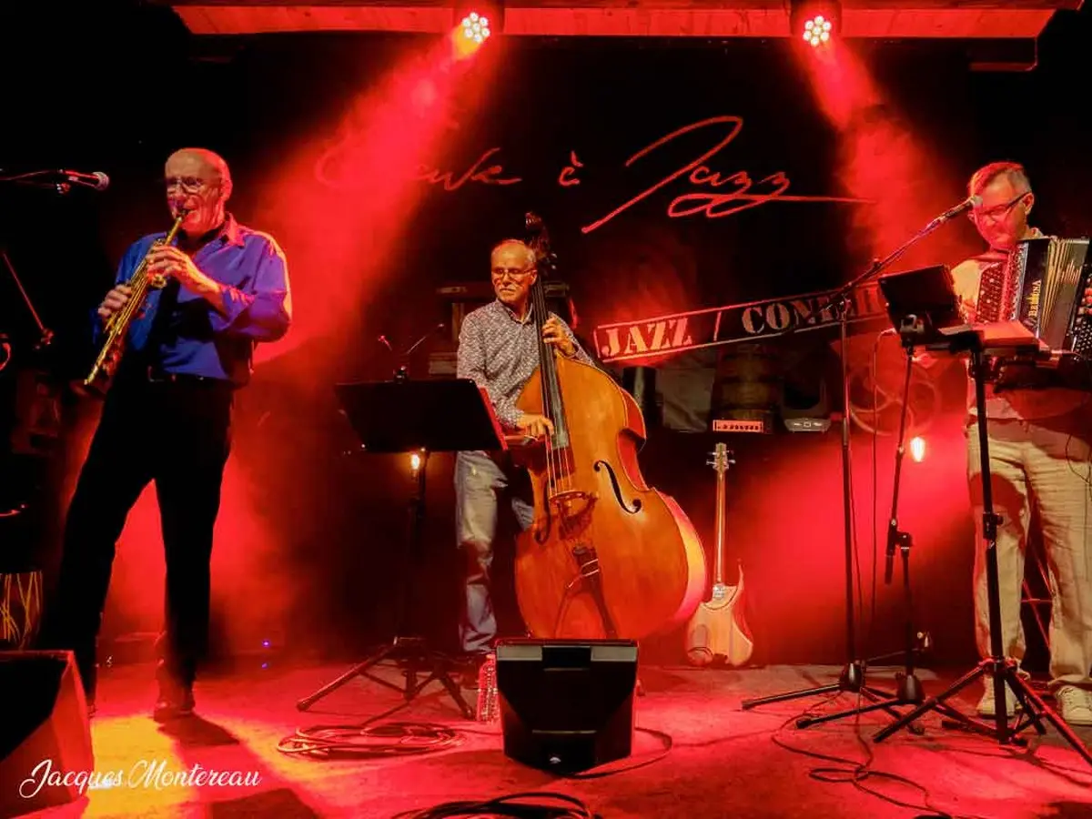 Musicoloris-trio-world-music-jacques-montereau