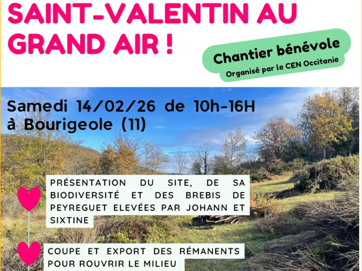 Chantier nature pour la St Valentin