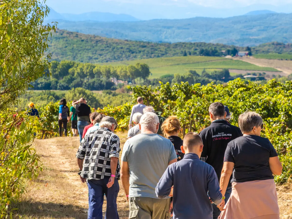 Balades vigneronnes