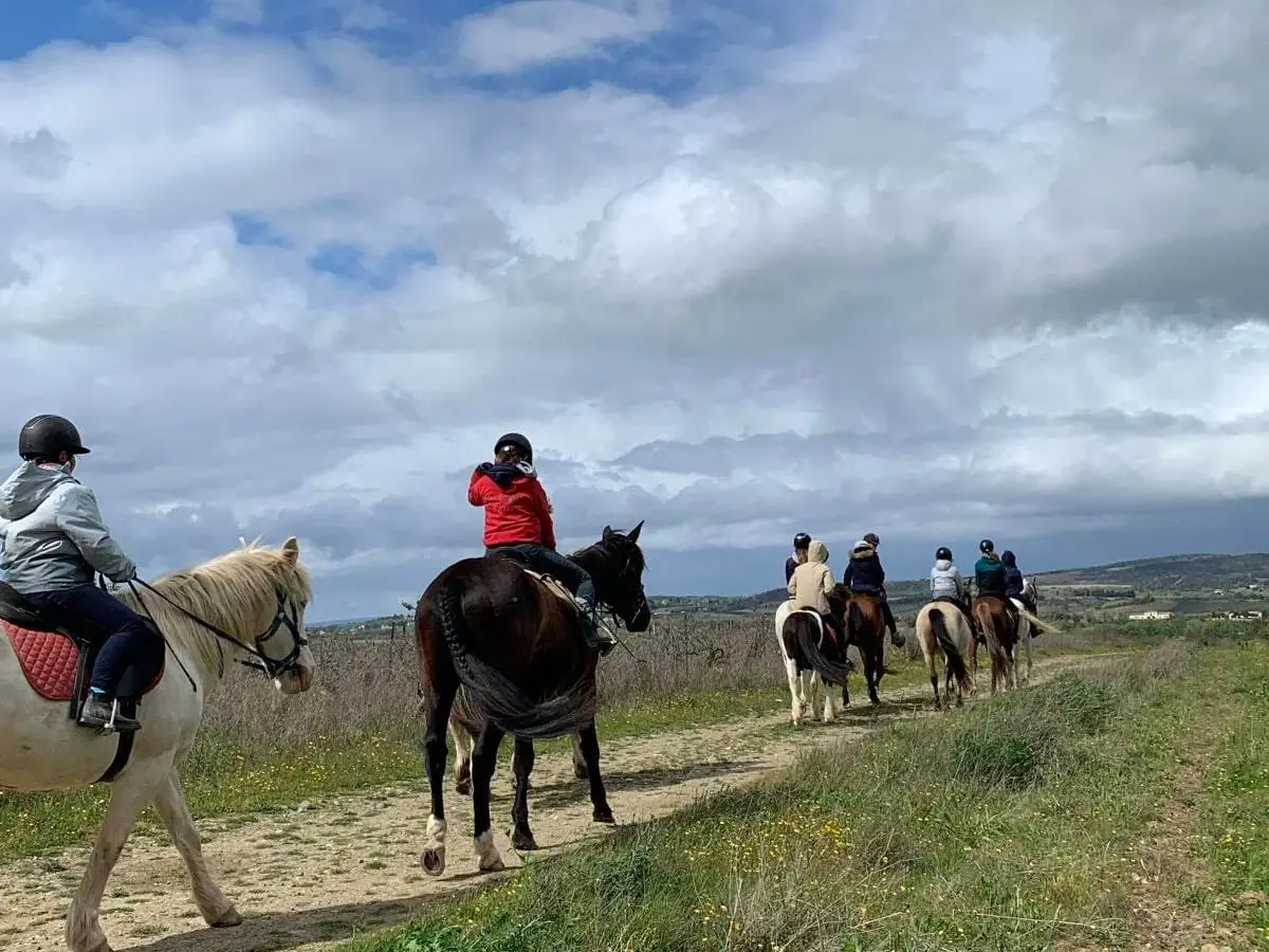 Les randonnées à cheval