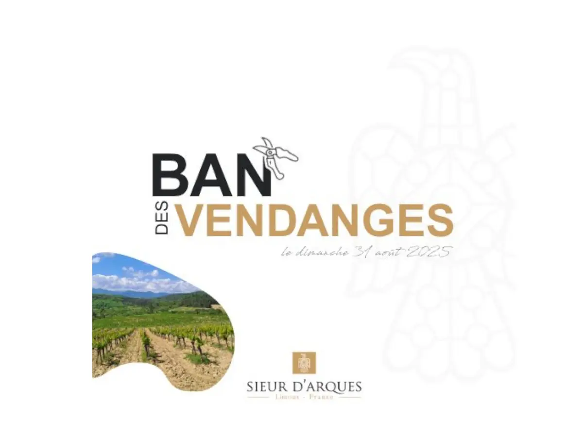 Ban des vendanges 2025