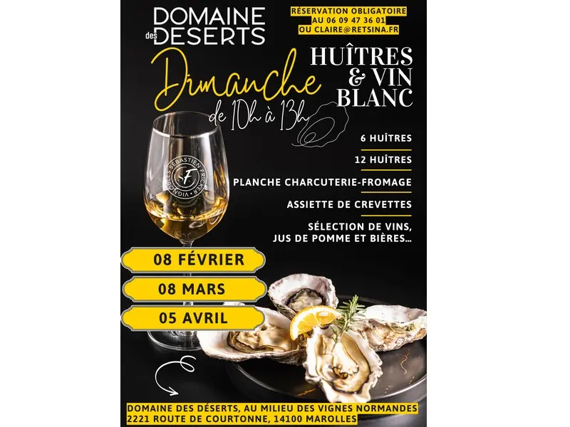 Huîtres et vin blanc