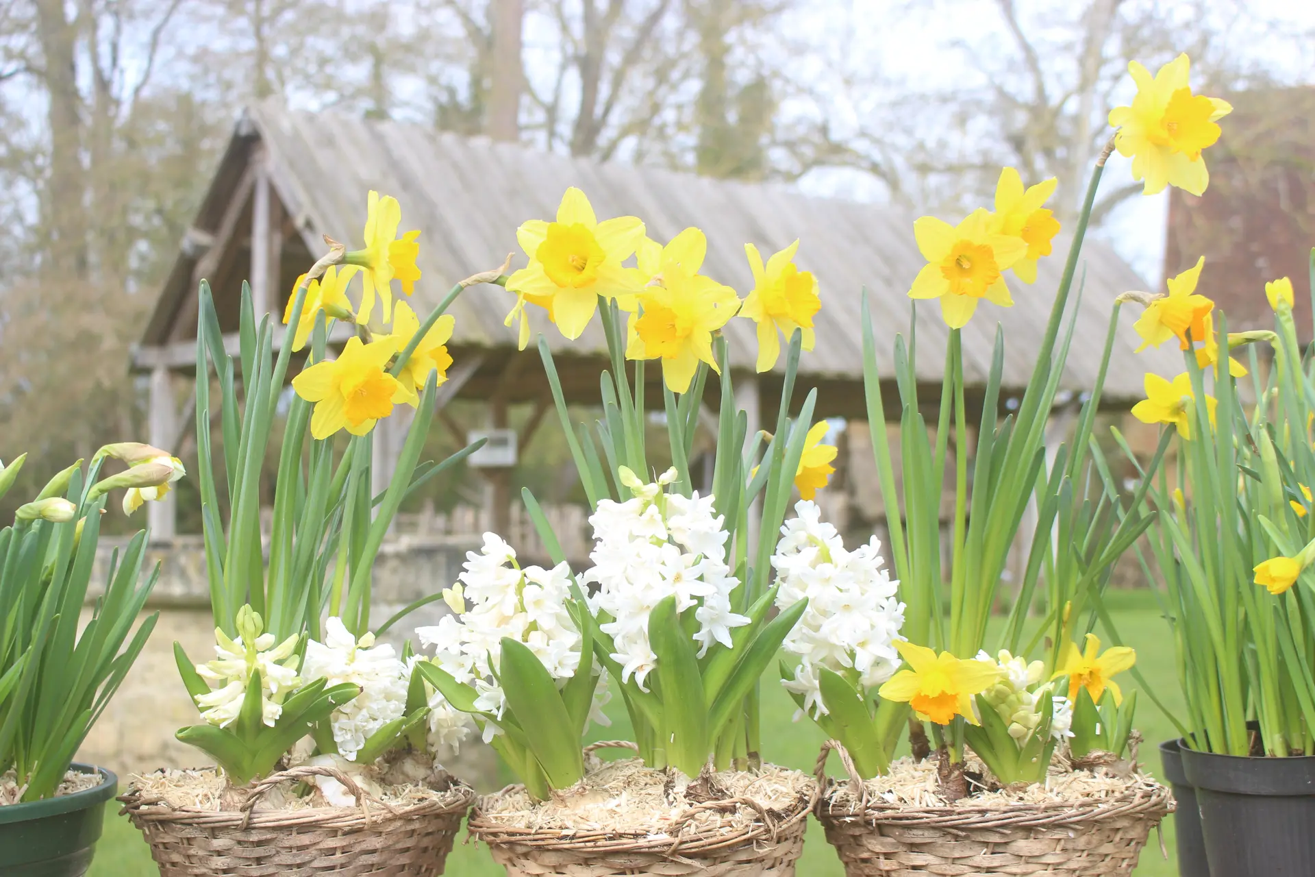 Jardin château de Crèvecoeur