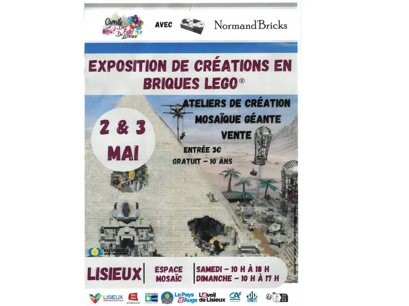 Exposition de créations en brique Légo®
