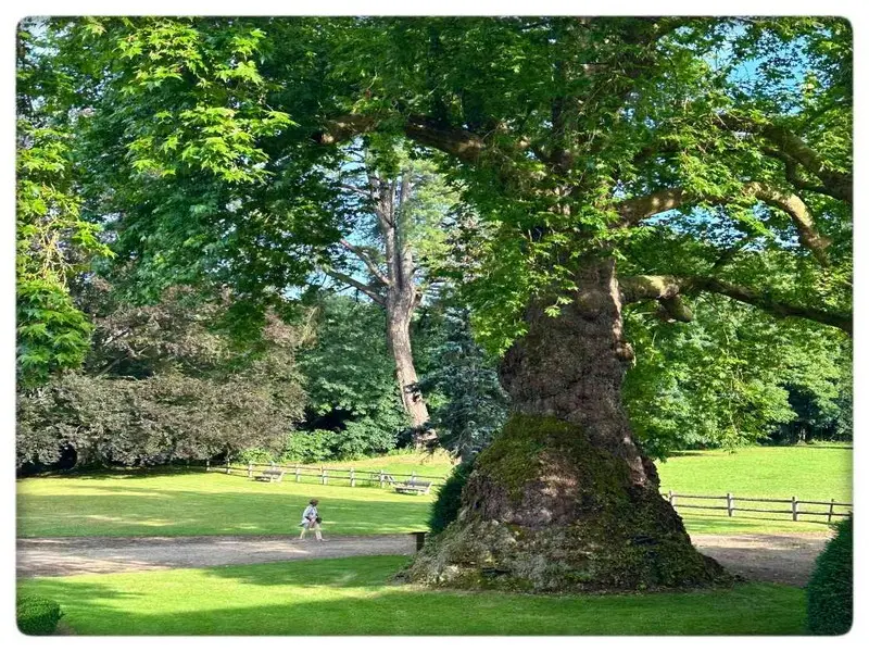 Paysage-feerique-du-Kinnor