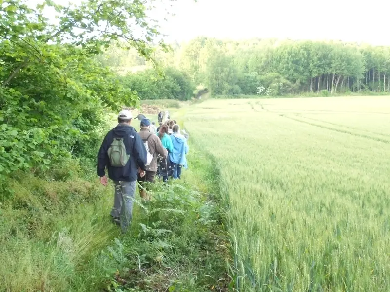 Randonnees-autour-d-Orbec-2