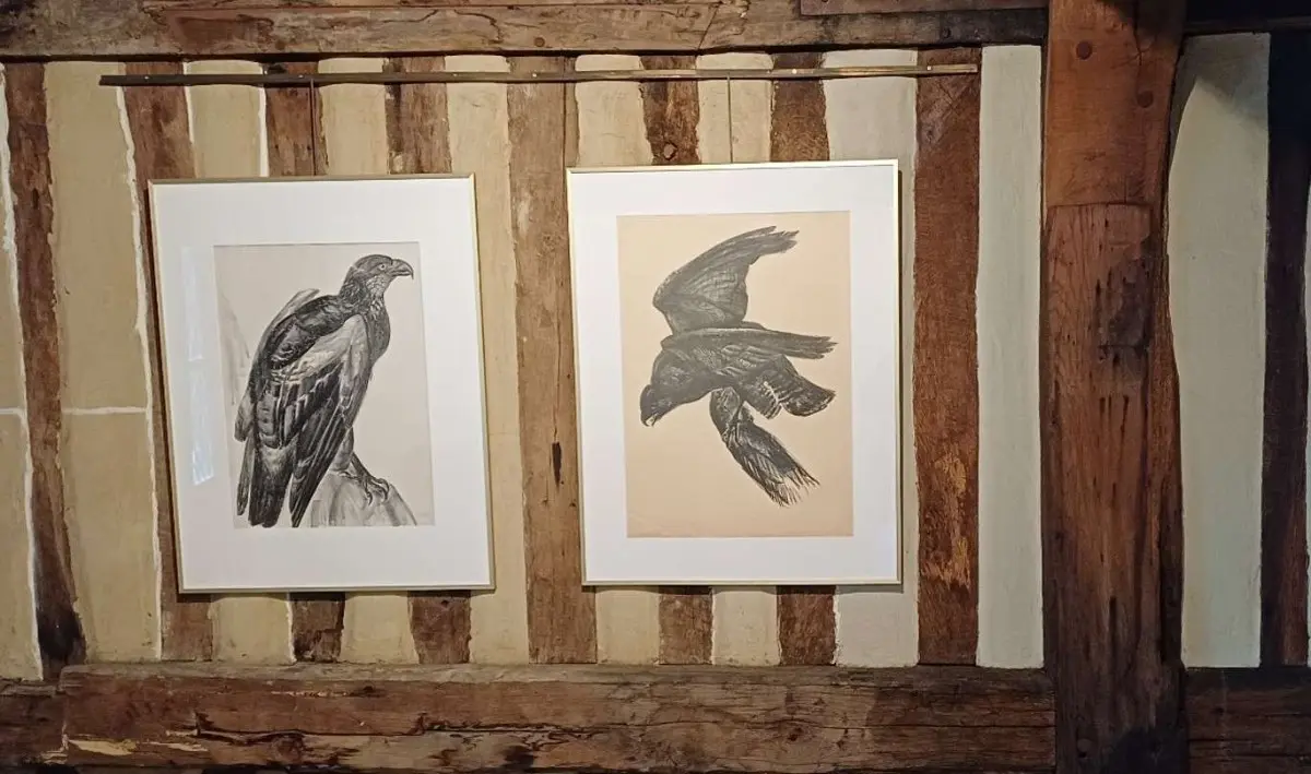 Raymond Bigot, Corbeau et Aigle, gravure, Musée du Vieux Manoir d'Orbec