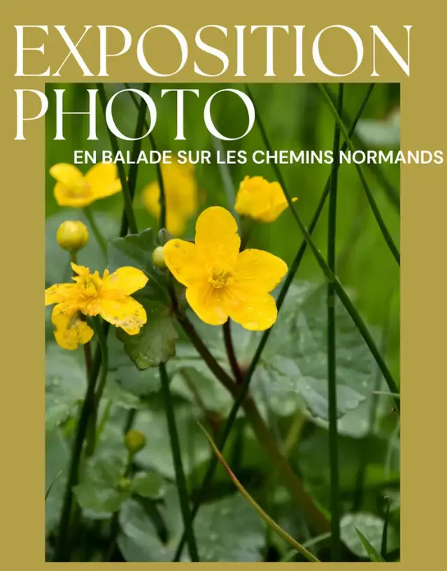 expo photo
