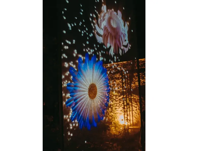 Soirées illuminées 2024, château de Canon