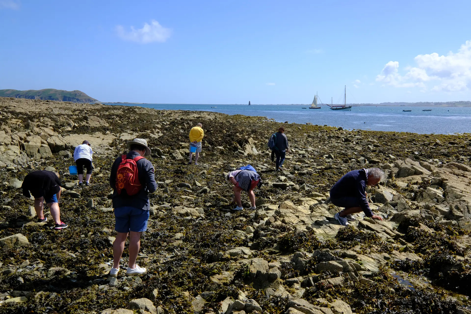 1 Découverte de la biodiversité de l'estran