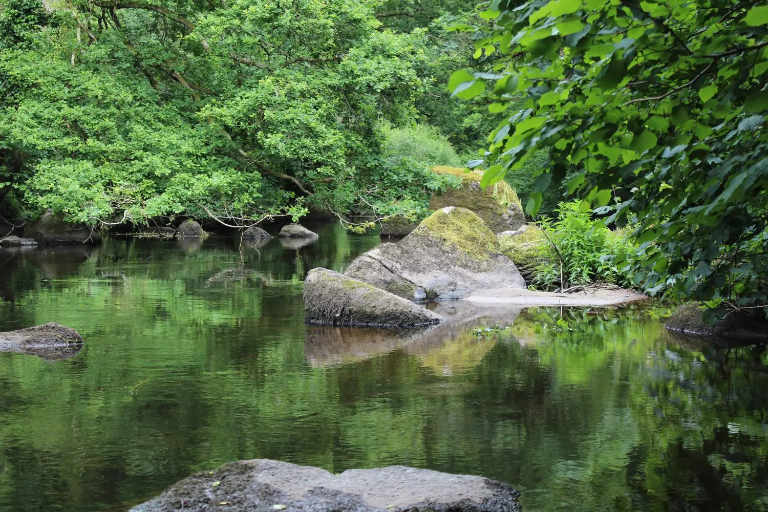 Réserve vie sauvage Ploubezre