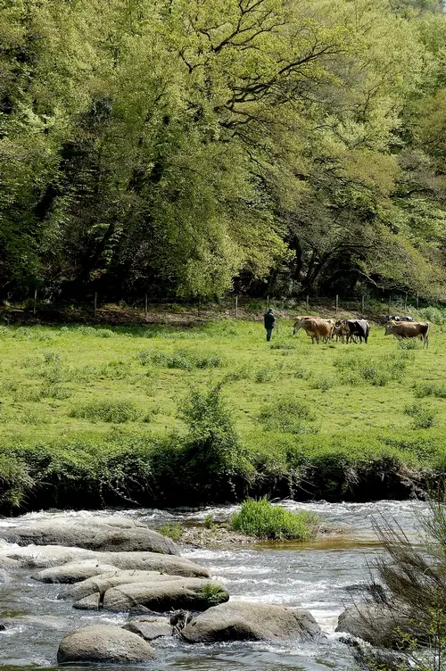vallée papeteries Plounévez-Moëdec