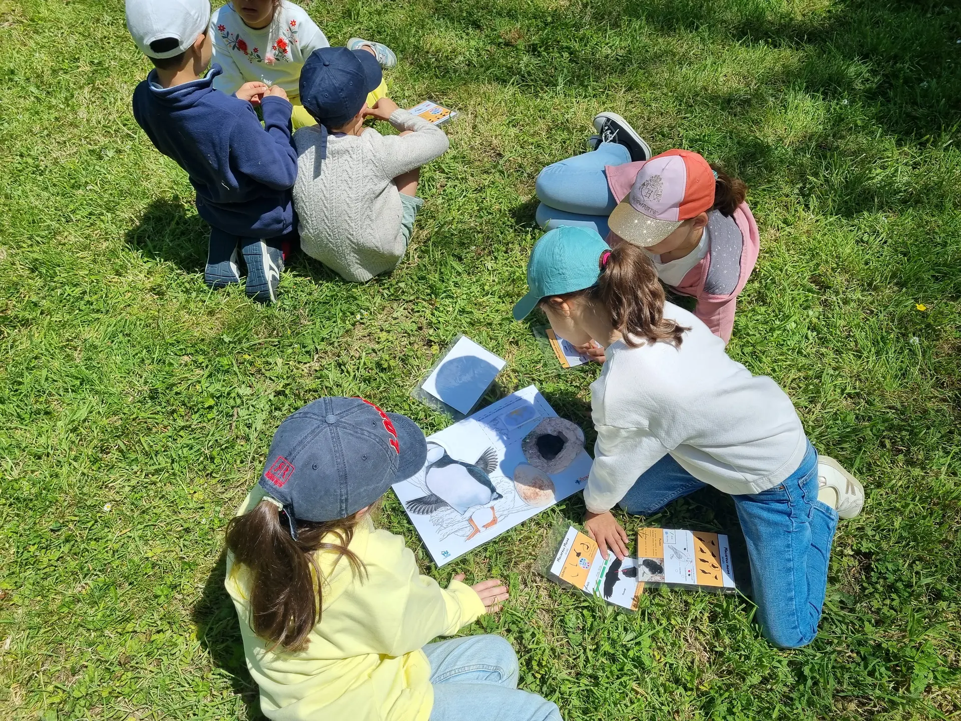 Activité enfant - Enfile tes plumes 1