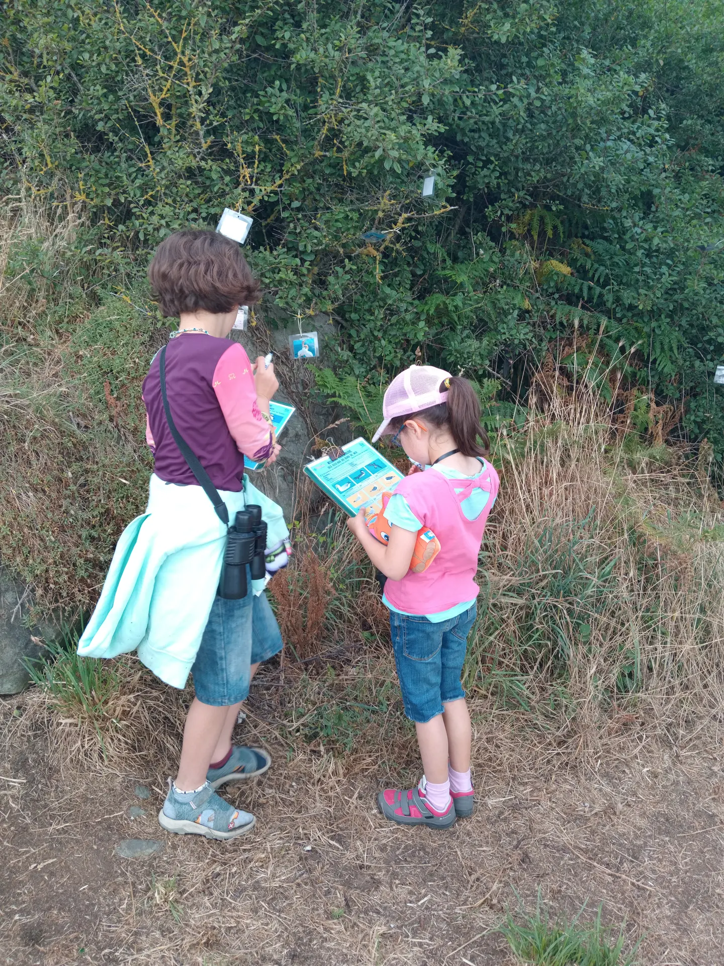 Activité enfant - Enfile tes plumes 2