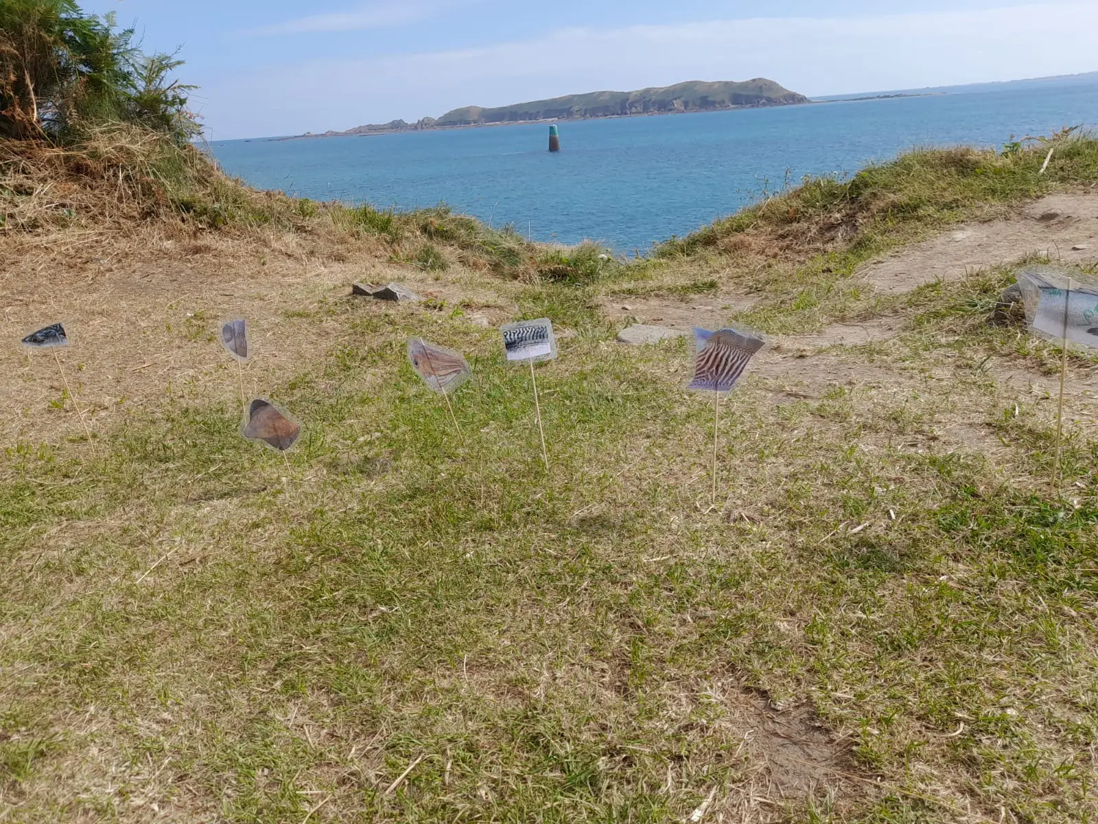 Activité enfant - Plongeon entre baleine et thon 1