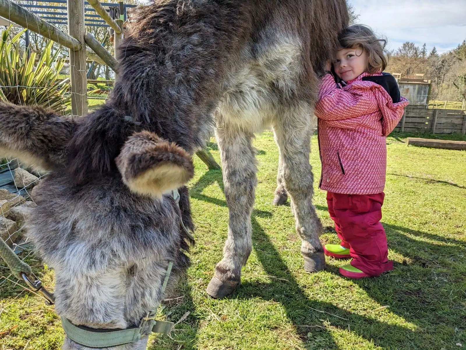 Atelier Les p'tits âniers