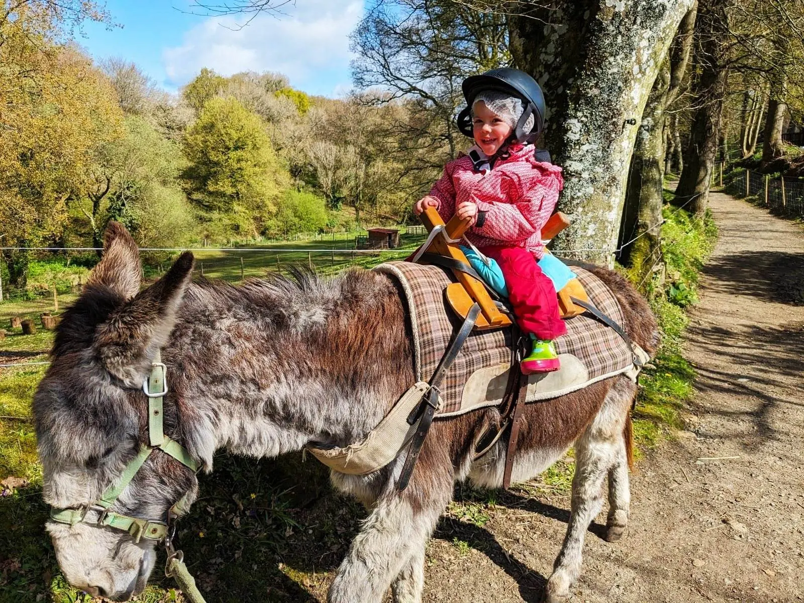 Atelier Les petits âniers