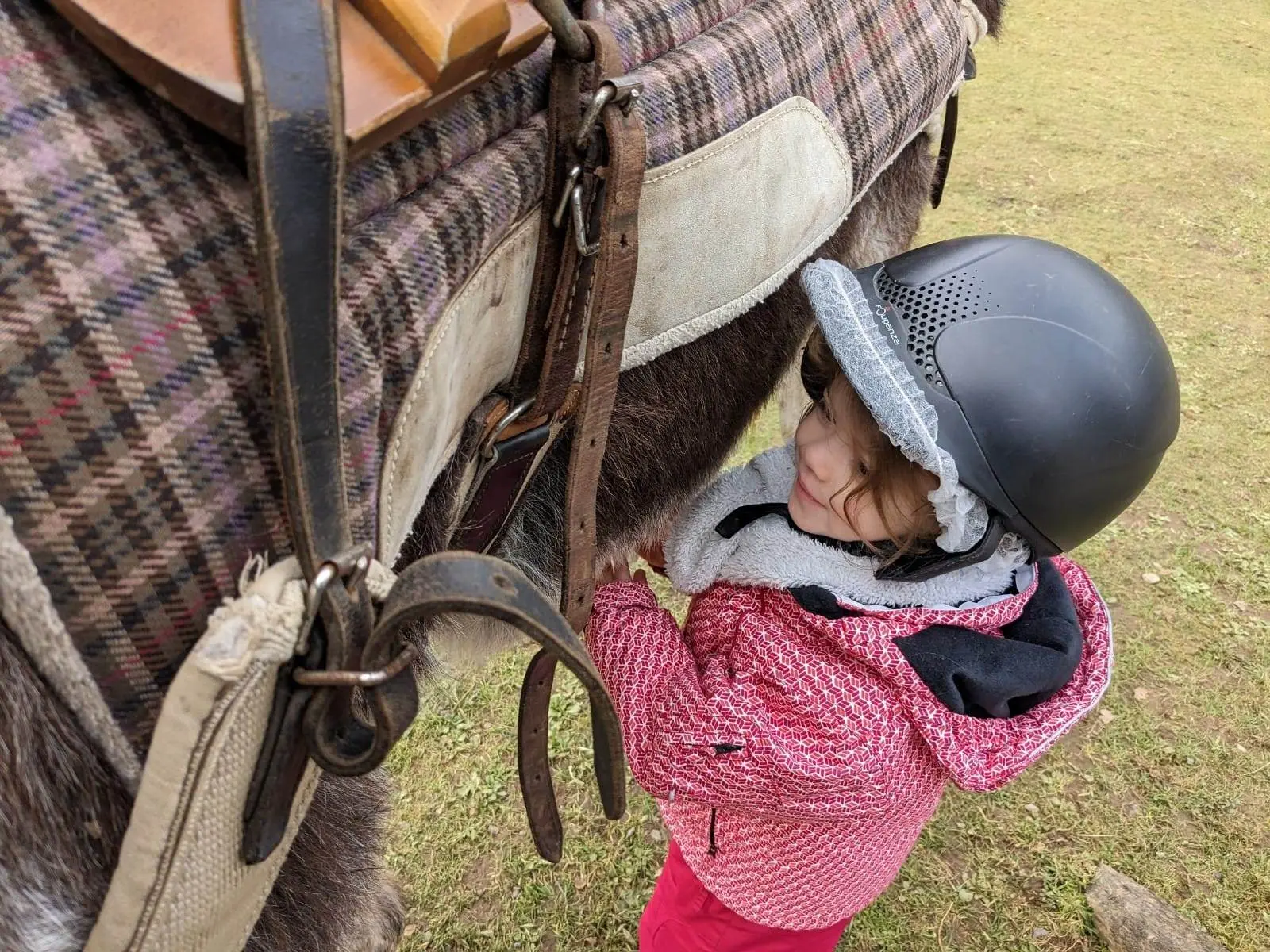 Atelier Les petits âniers