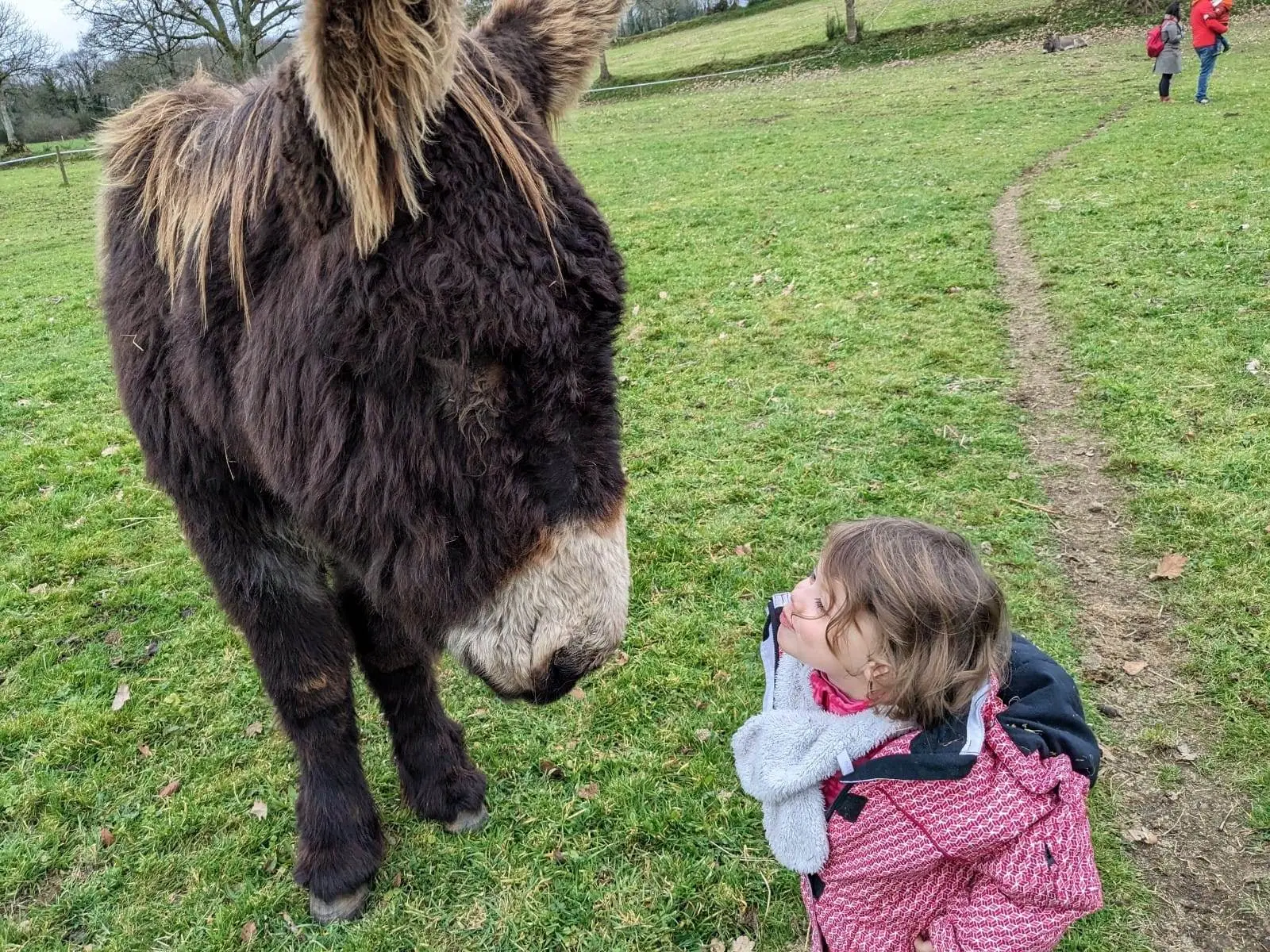 Atelier les petits ânies à la Combe aux Ânes