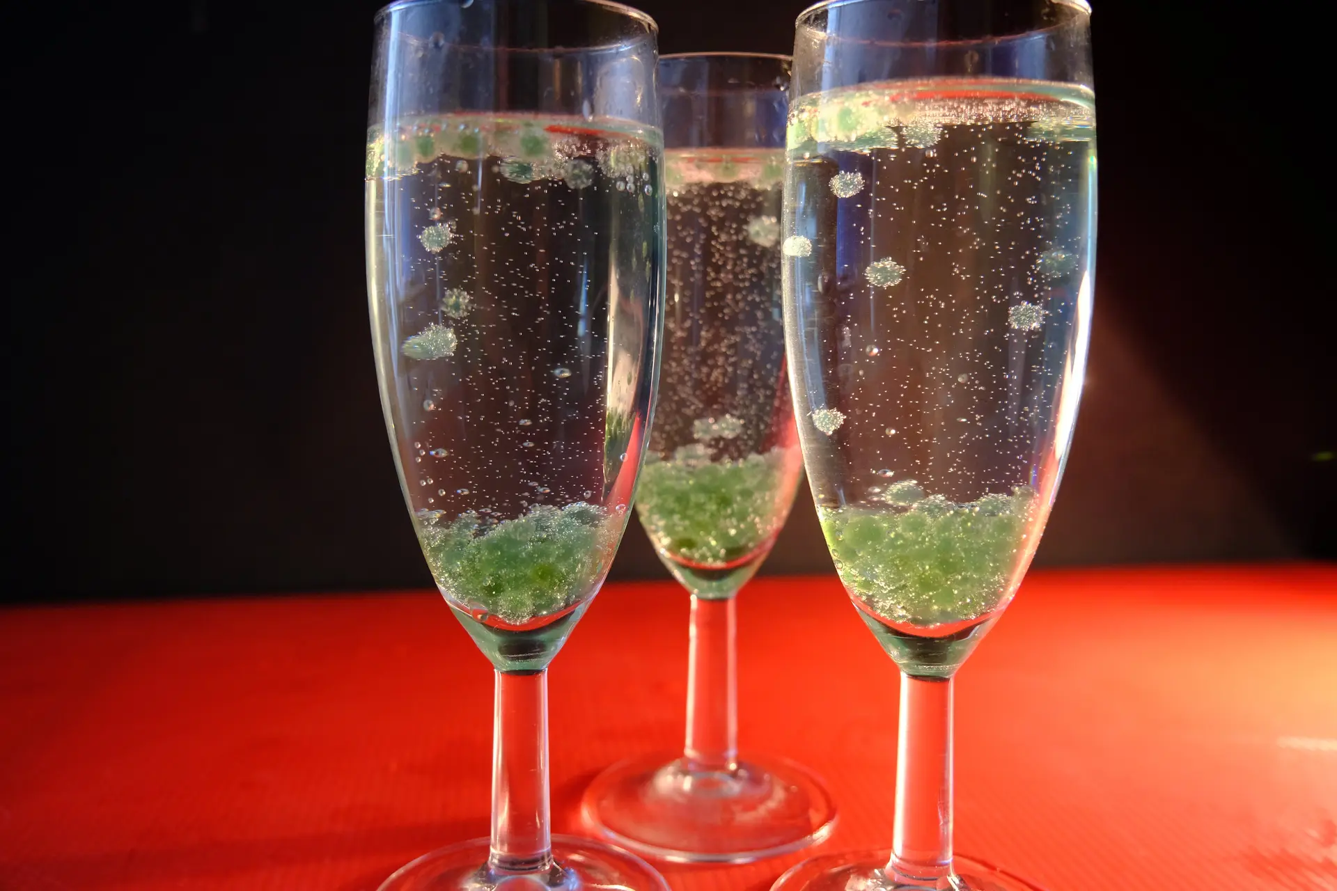 Atelier_perles_algues