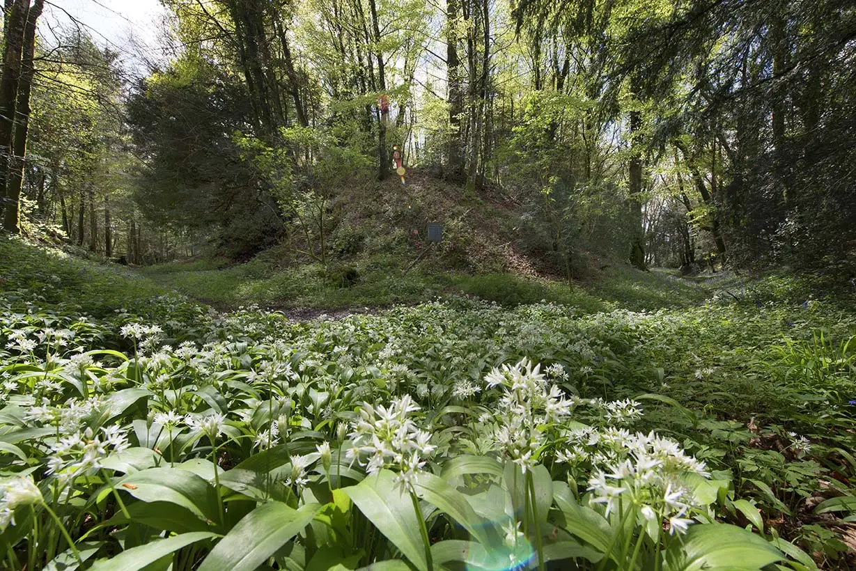 Motte féodale de Beffou