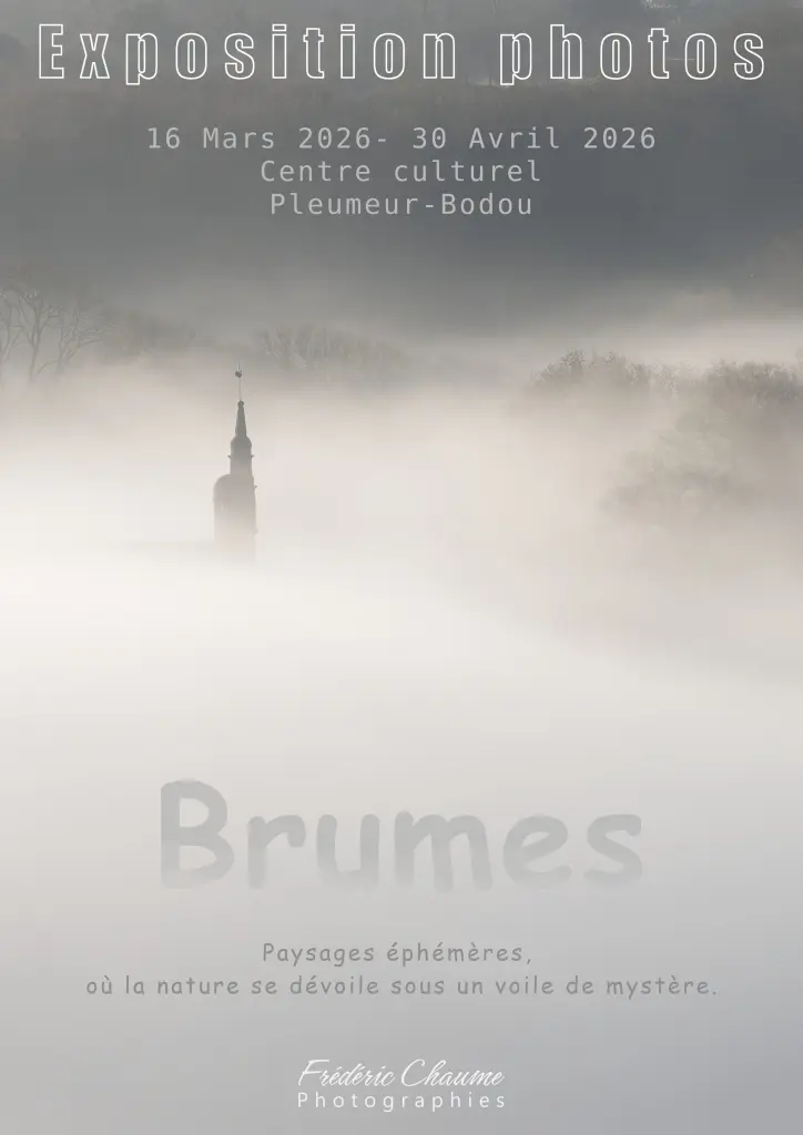 Brumes