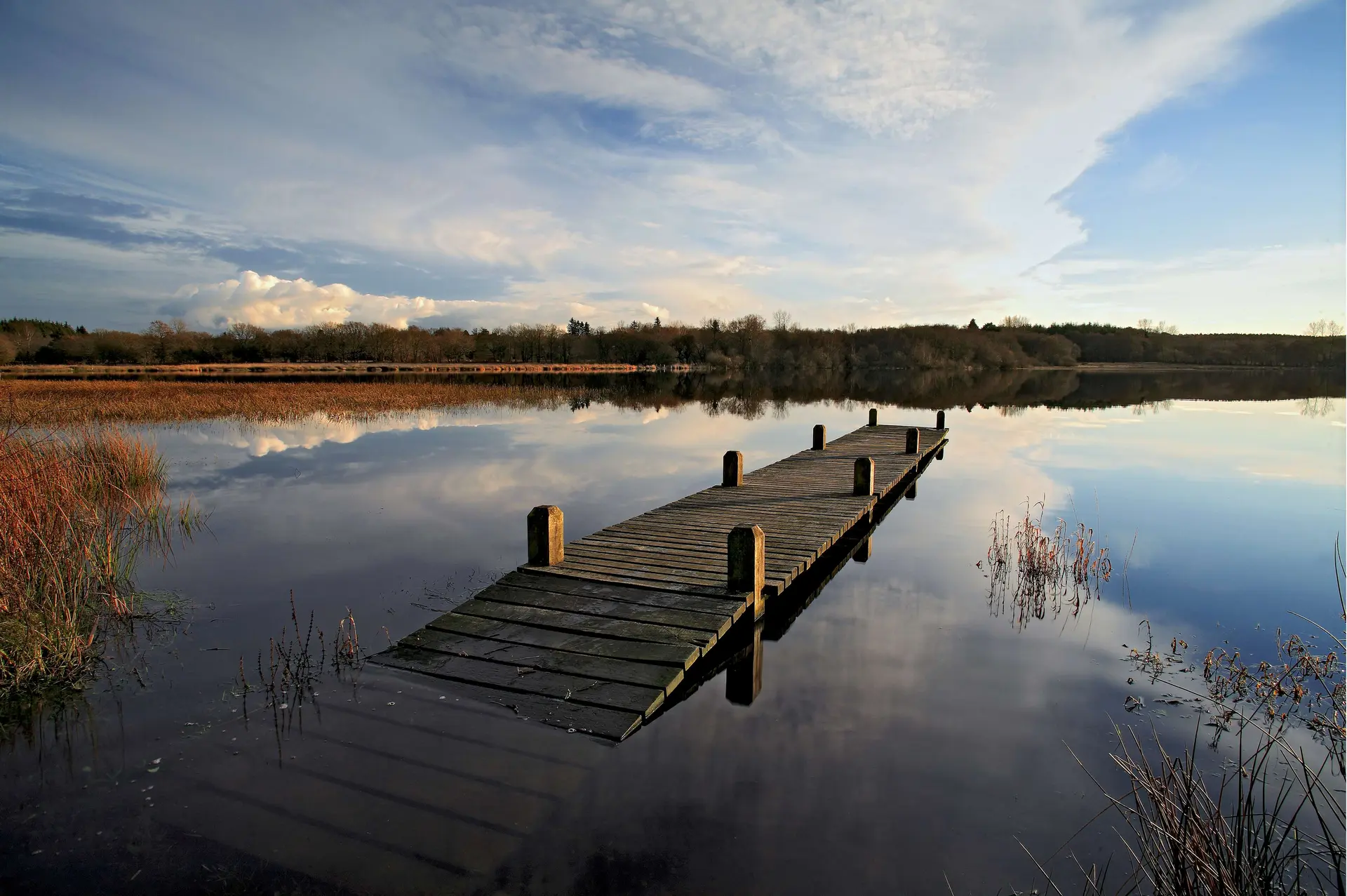 Christian Le Gac Ponton etang
