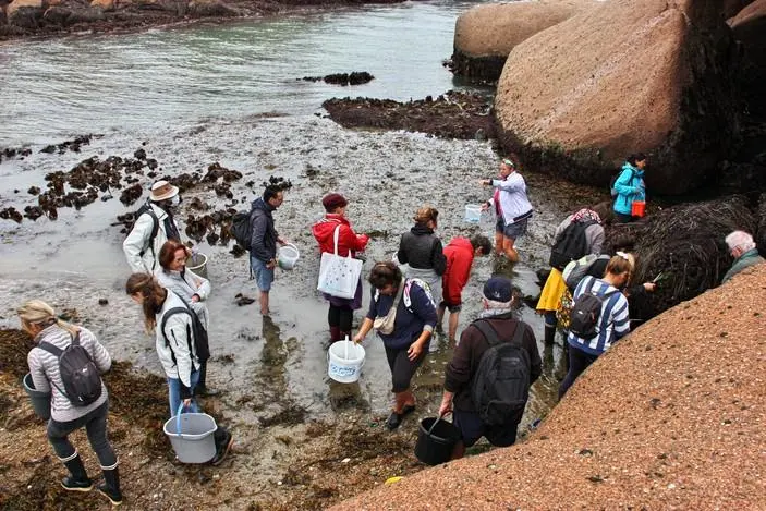 Détente Origin’algues1