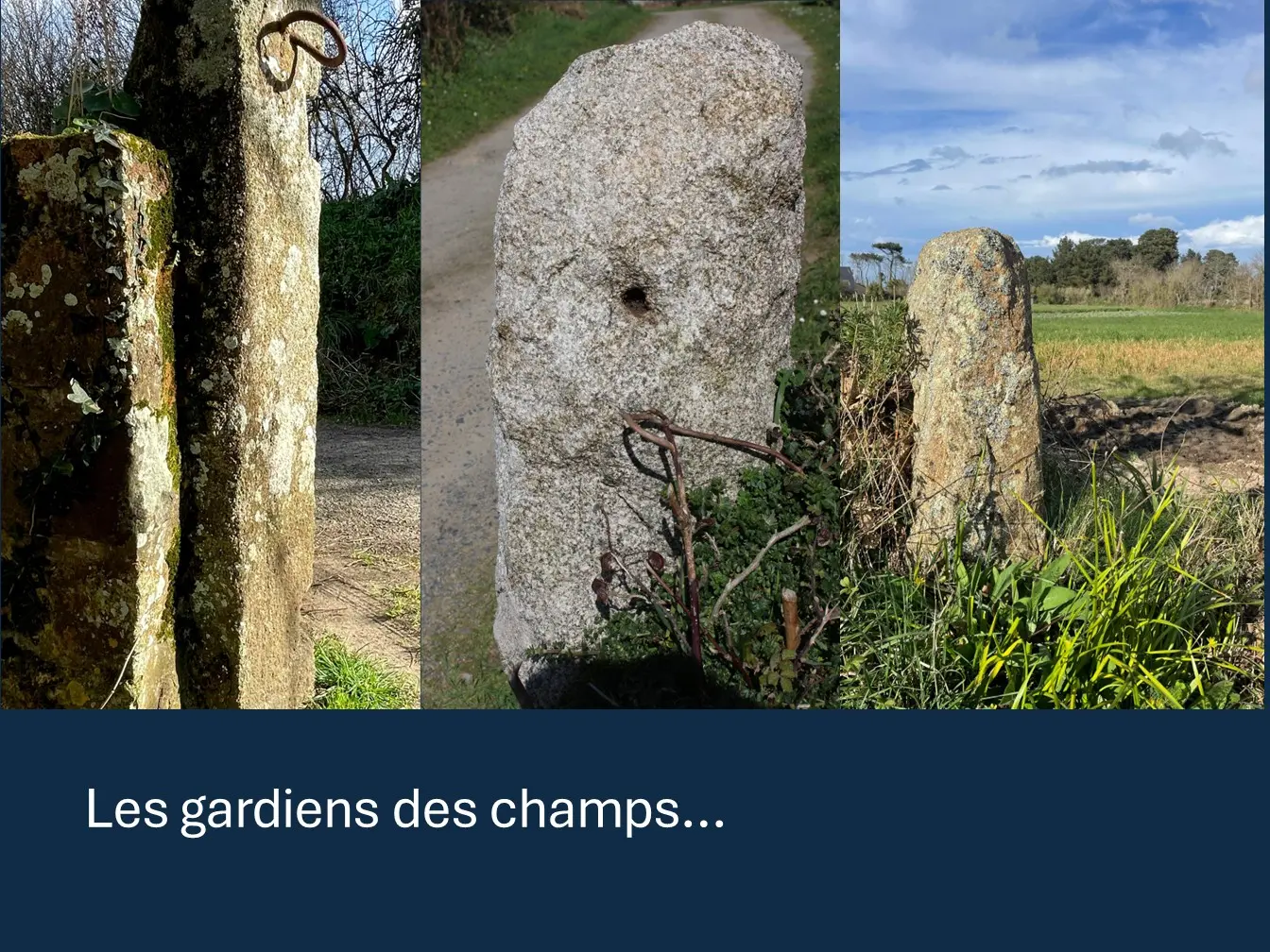 Les pierres nous parle