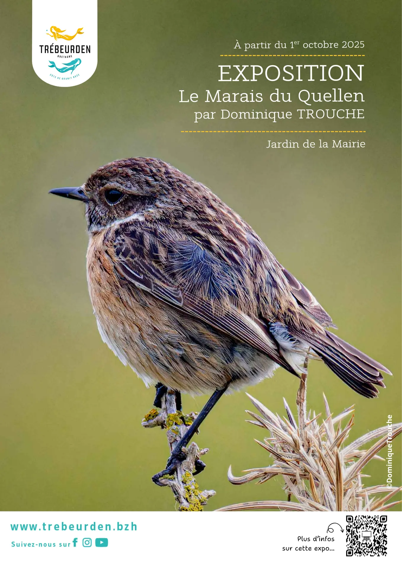 EXPOSISTION D. TROUCHE - 1