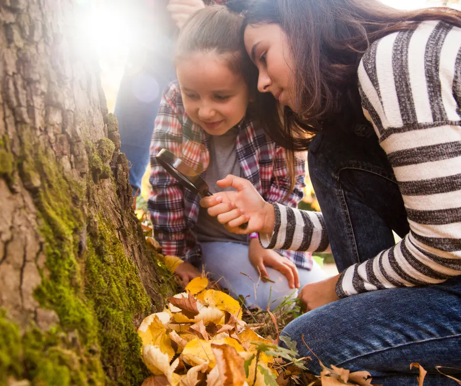 Mission détective avec Paulette La rainette