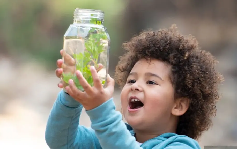 Mission détective avec Paulette La rainette
