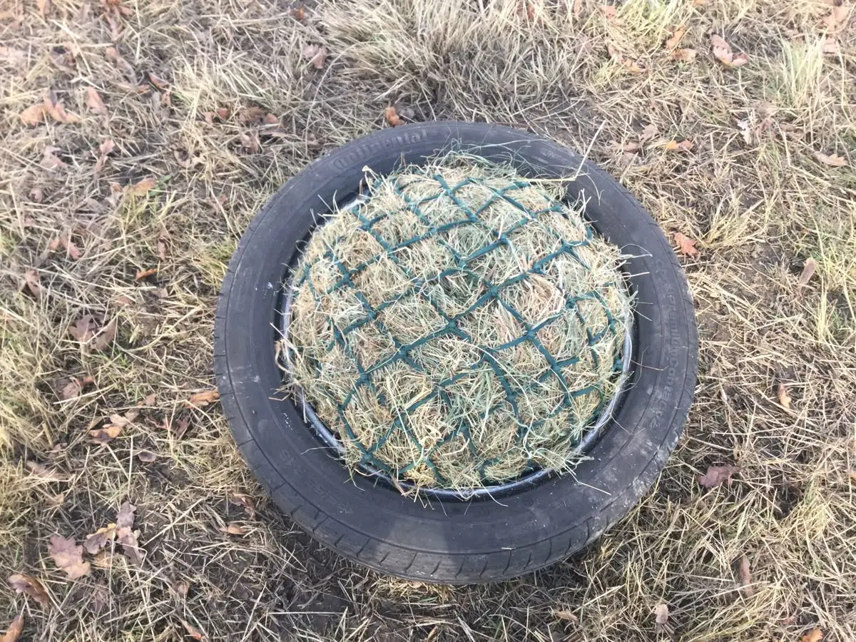 Enrichissements foin