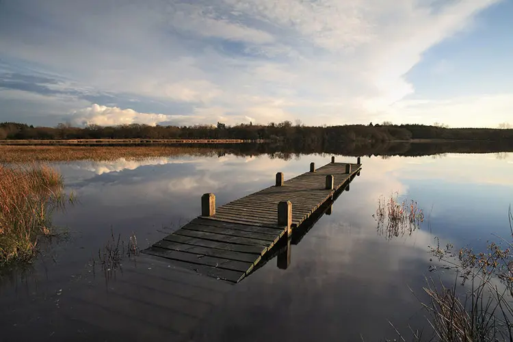 Etang du Moulin Neuf