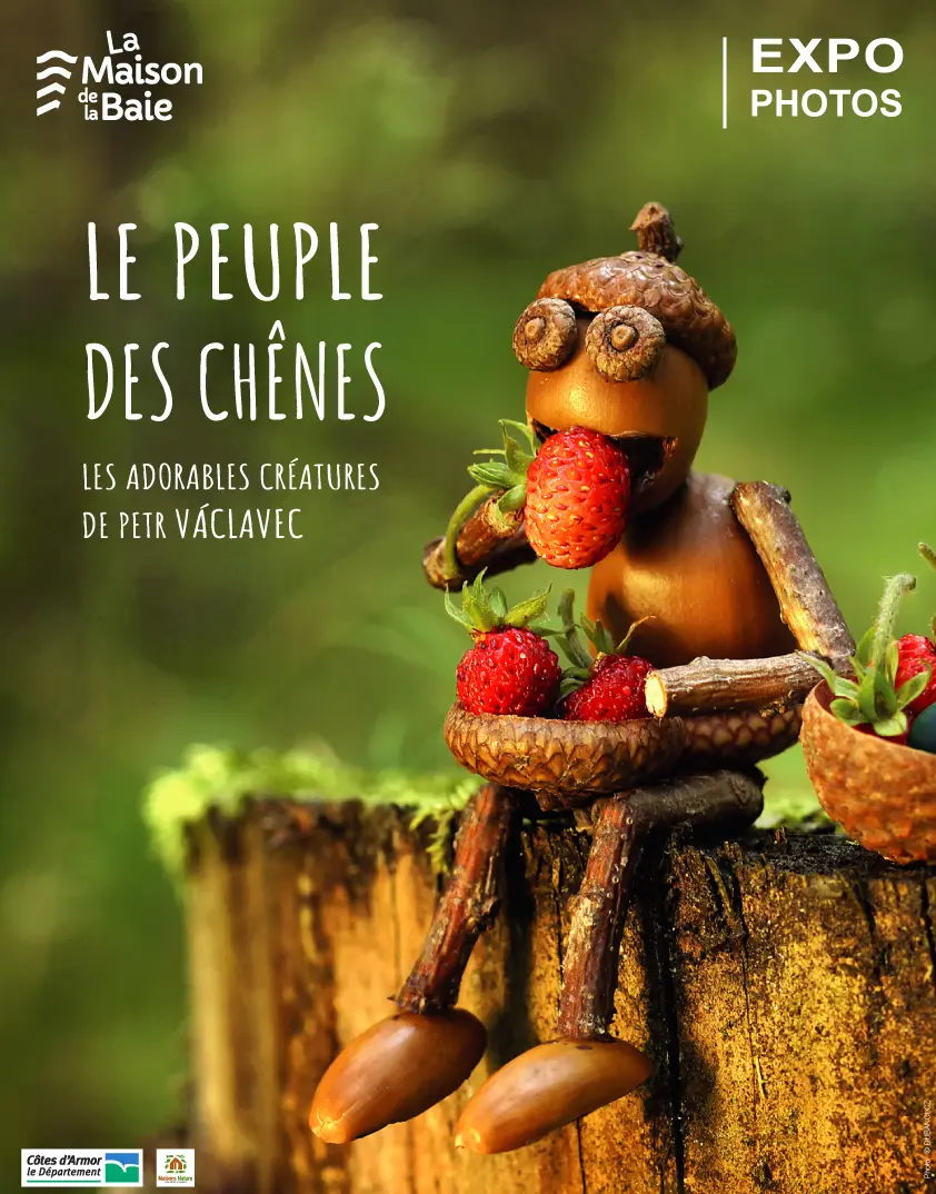 Expo-Le-peuple-des-chênes