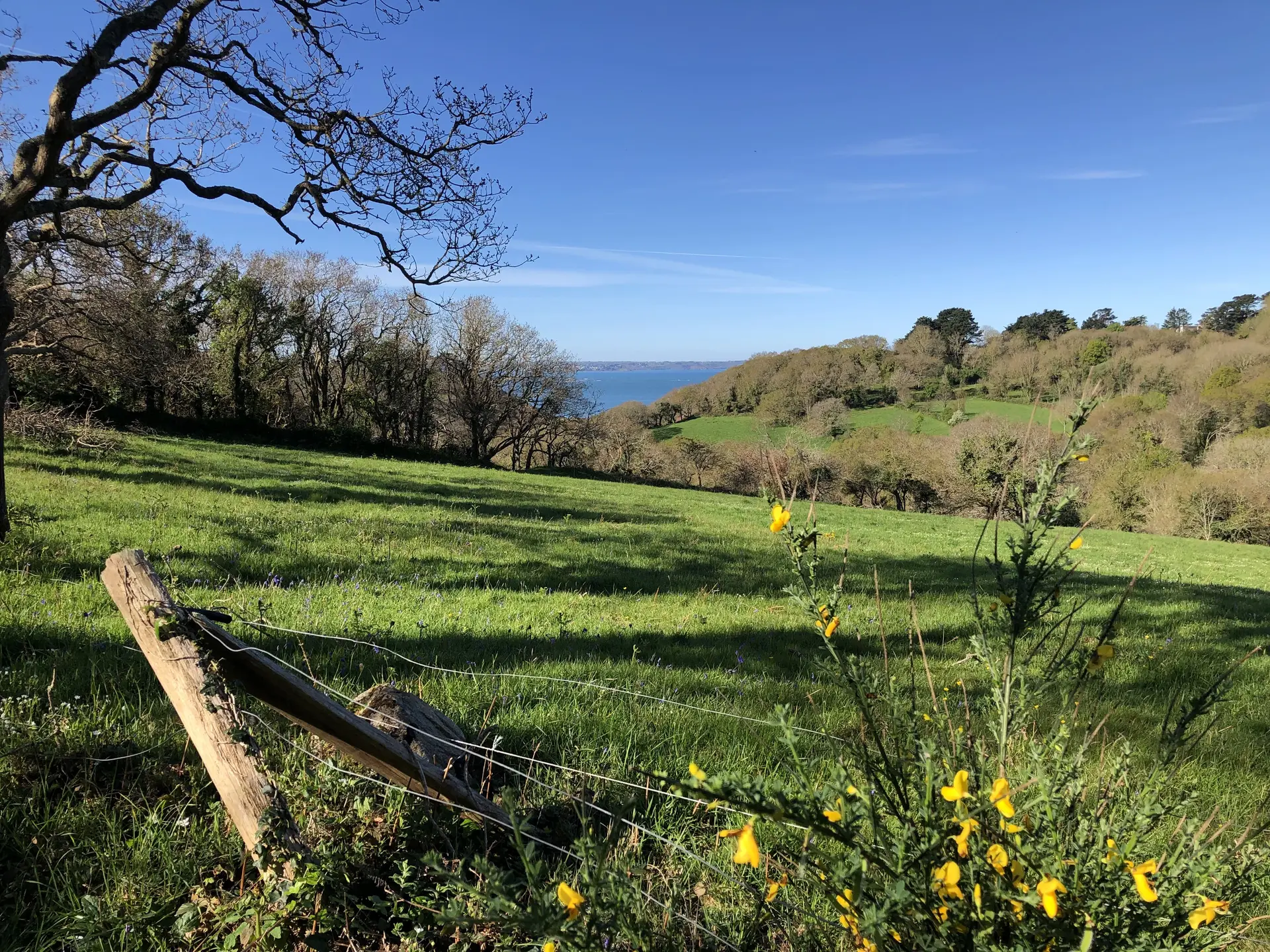 Goas Lagorn Valley in Early Spring